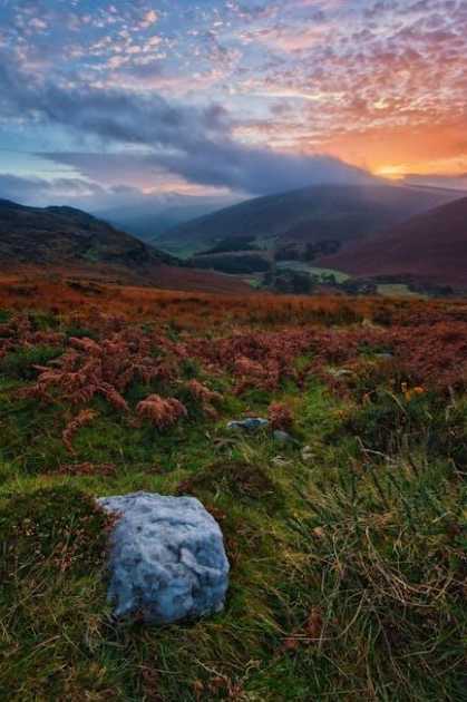 Top 5 Reasons to Study in Ireland