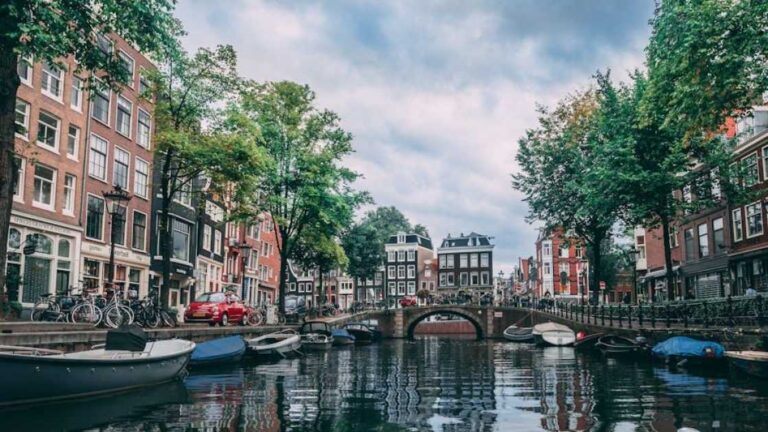Working While Studying in the Netherlands: Rules & Part-Time Job Opportunities