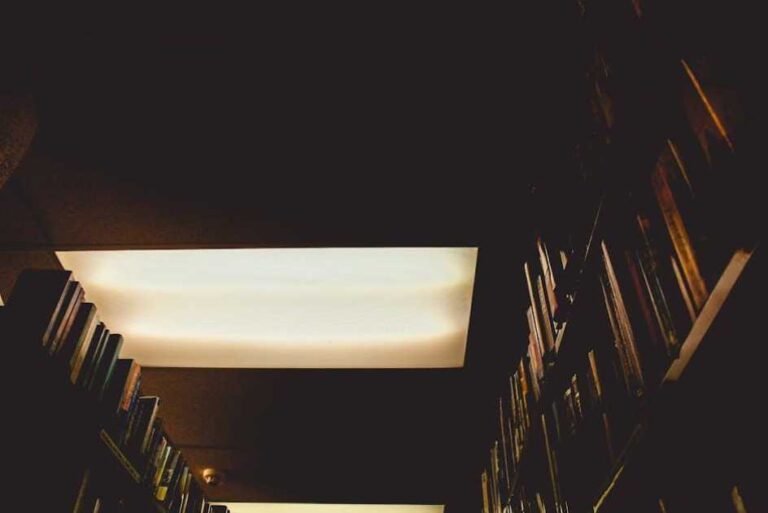 Cost of Studying in New Zealand: Tuition Fees, Living Expenses & Scholarships